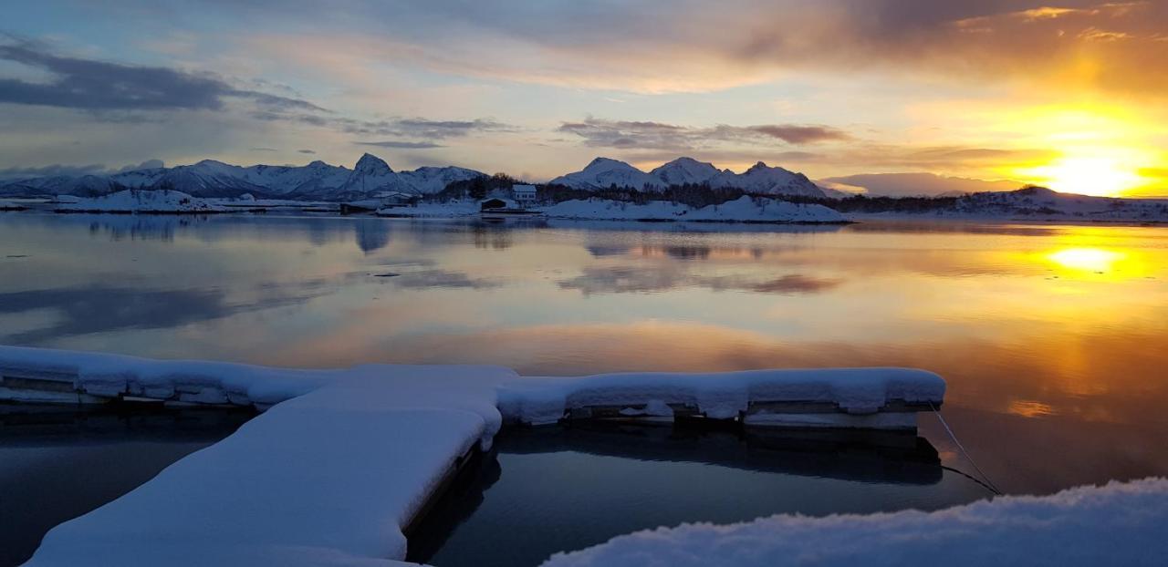 Ringstad Resort Bo (Nordland) Dış mekan fotoğraf