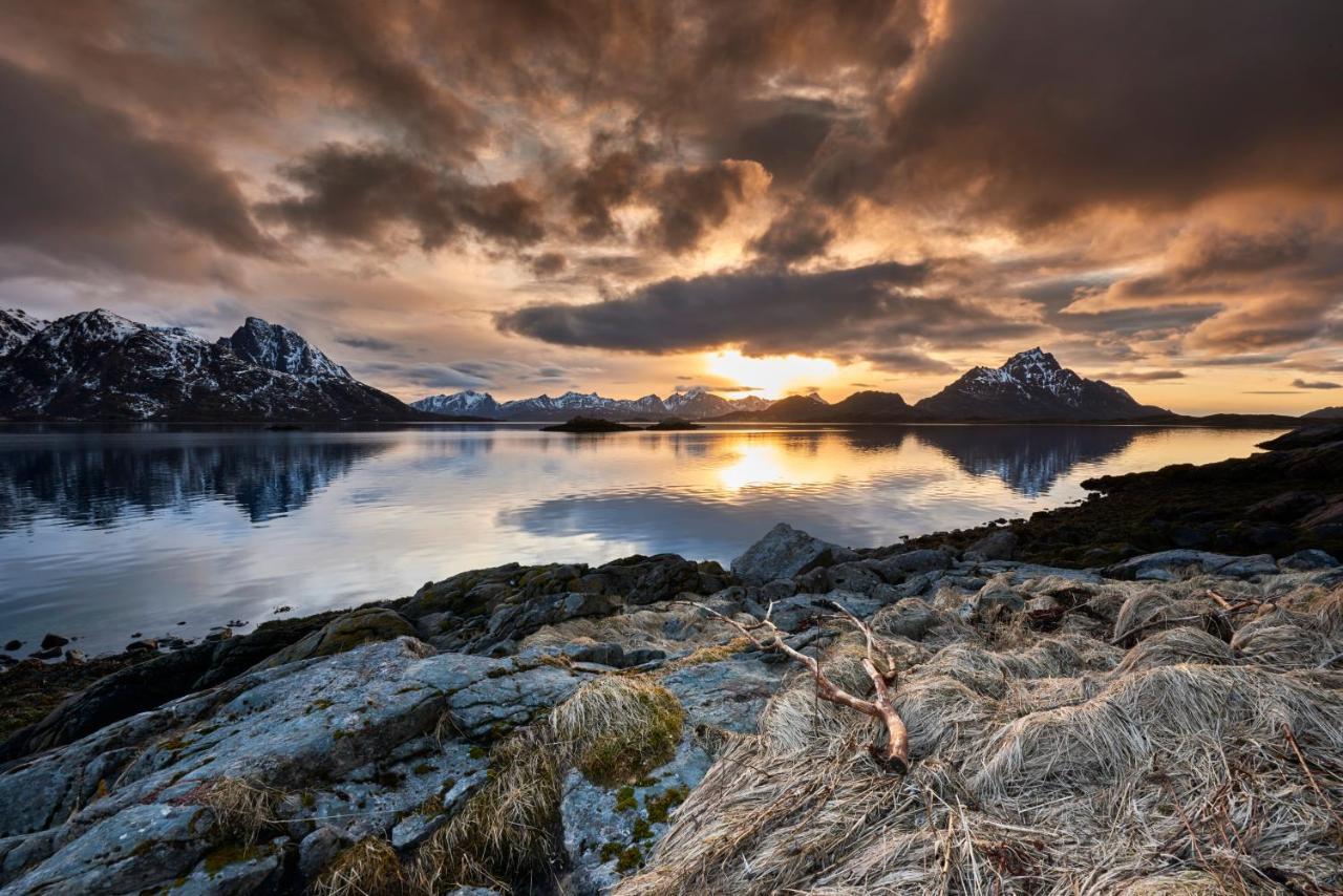 Ringstad Resort Bo (Nordland) Dış mekan fotoğraf