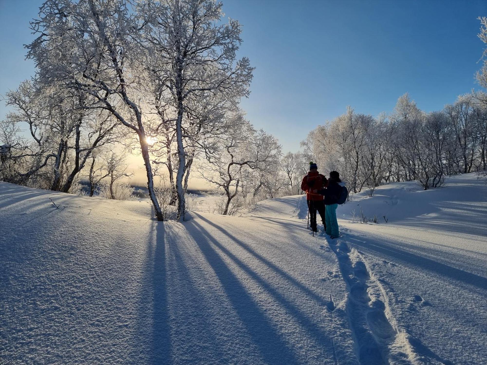 Ringstad Resort Bo (Nordland) Dış mekan fotoğraf